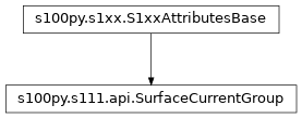 Inheritance diagram of SurfaceCurrentGroup